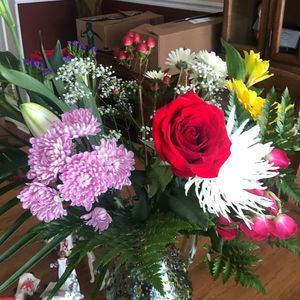 Meet your Posher, Karen